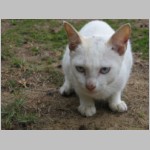 16 uroczy mieszkaniec osrodka.html